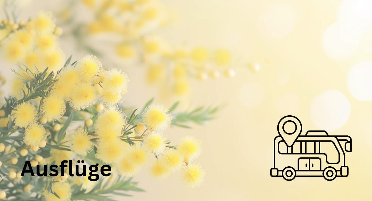 frauenplattform_ausflüge