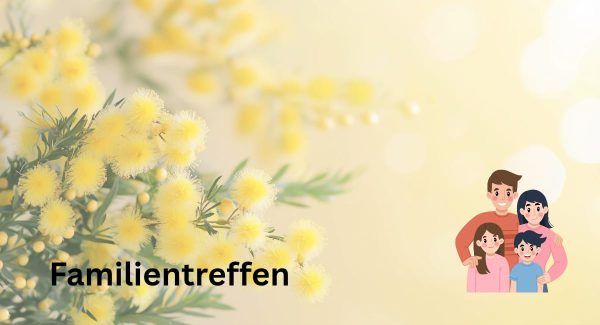 frauenplattform_familientreff